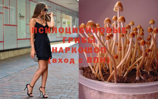 таблы Михайловск