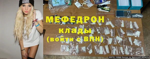 первитин Михайлов