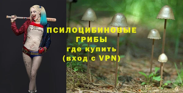 таблы Михайловск