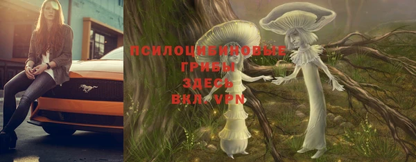 первитин Михайлов