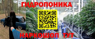 прущие крисы Азнакаево