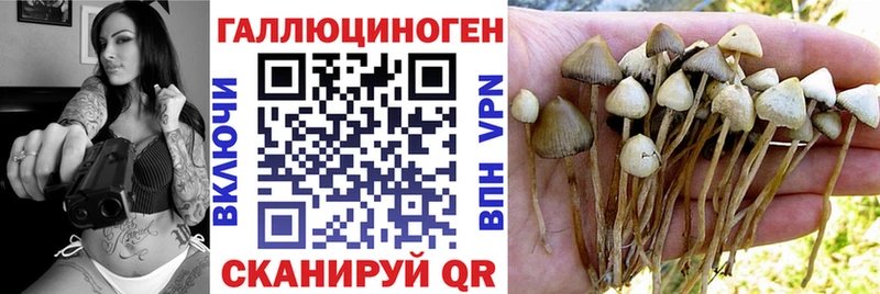 блэк спрут онион  это Telegram  Псилоцибиновые грибы Cubensis  Кострома 