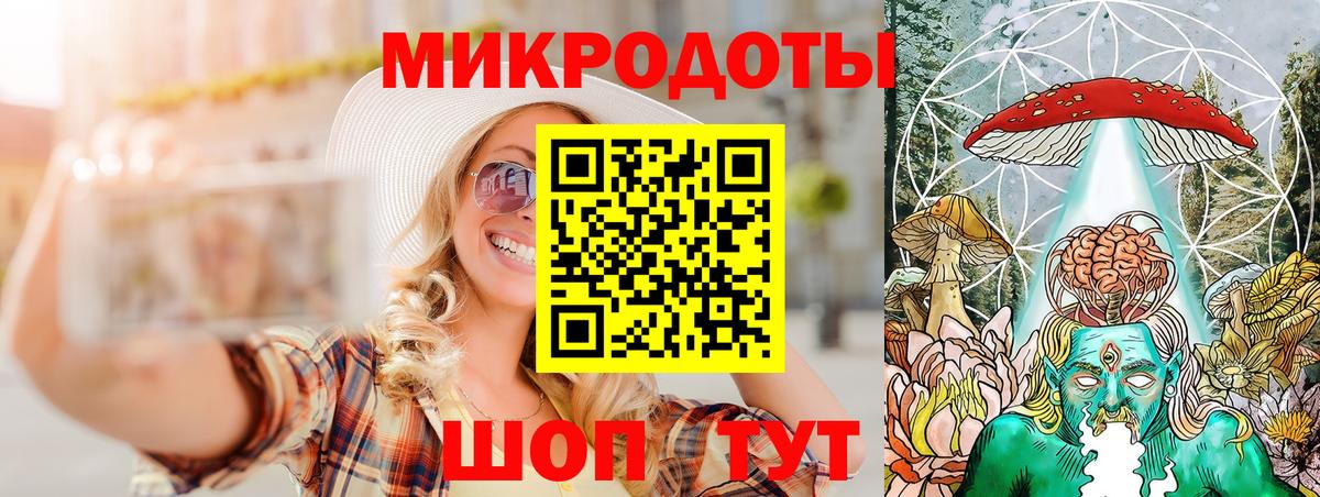 Галлюциногенные грибы Psilocybe Кострома