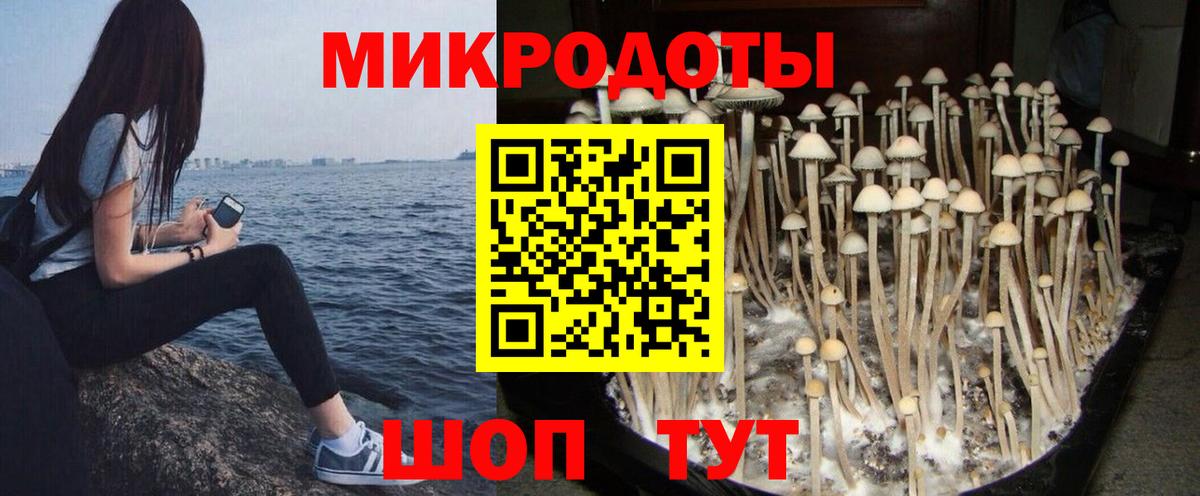 Галлюциногенные грибы Cubensis  Кострома 