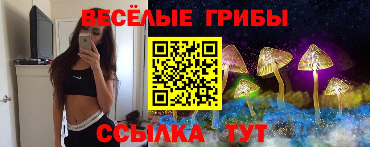 Псилоцибиновые грибы Cubensis  как найти   Кострома  Вход с VPN 