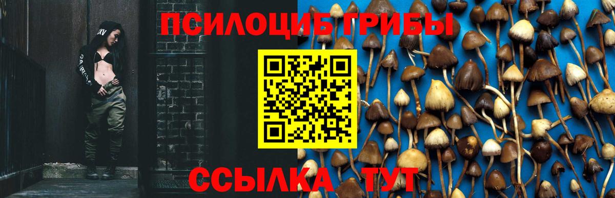 Кострома  цены   Вход с VPN  Галлюциногенные грибы прущие грибы 